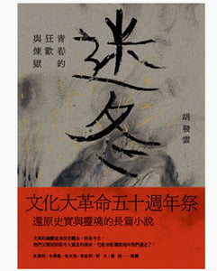 迷冬：青春的狂歡與煉獄/迷冬：青春的狂欢与炼狱 胡發雲/胡发云