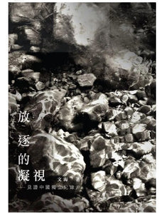 放逐的凝視: 見證中國獨立紀錄片/放逐的凝视: 见证中国独立纪录片 文海
