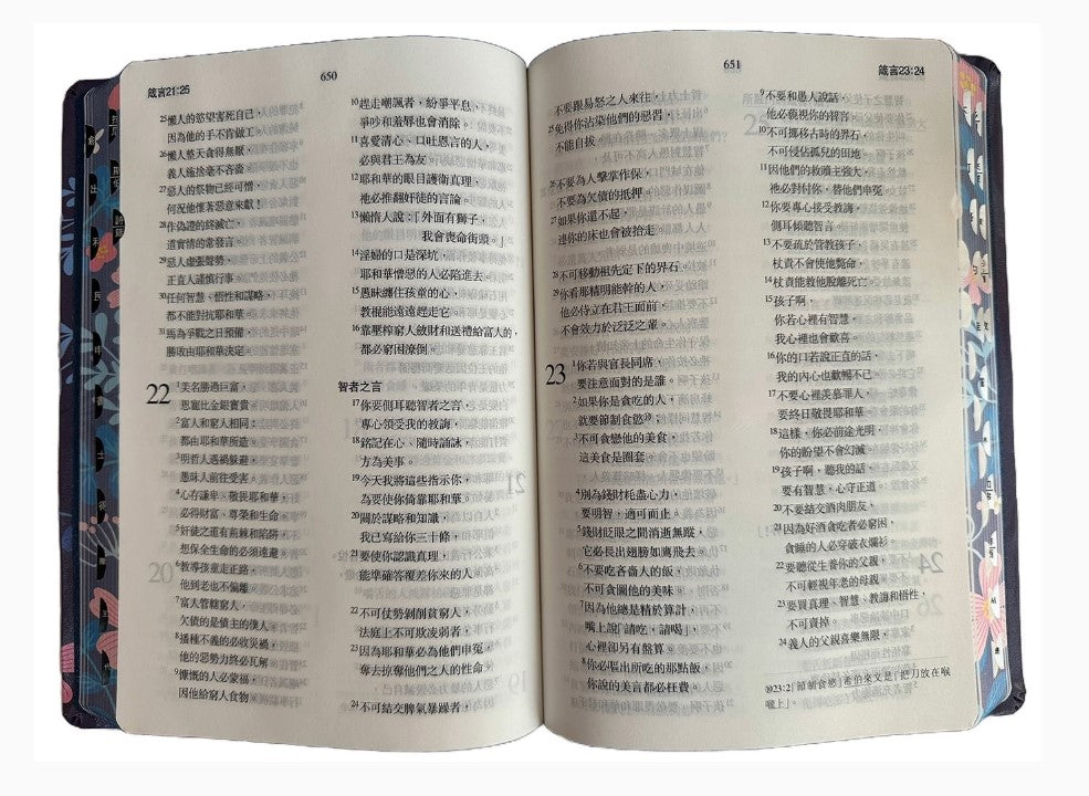 聖經-當代譯本(地圖金翻口彩繪仿皮索引2版精裝)/圣经-当代译本 （繁体） 聖經-當代譯本(地圖金翻口彩繪仿皮索引2版精裝)/圣经-当代译本