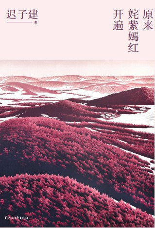 原来姹紫嫣红开遍 迟子建