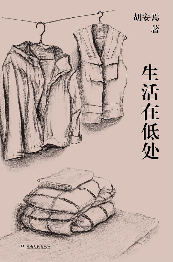 生活在低处 胡安焉