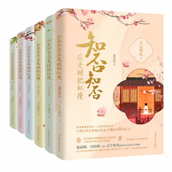 知否知否，应是绿肥红瘦（全6册） 关心则乱